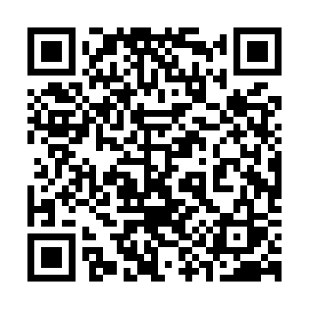 QR code for 390MSS