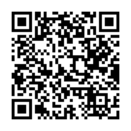 QR code for 391SCS
