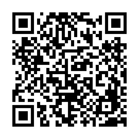 QR code for 393BFF