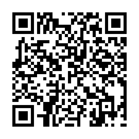 QR code for 393CNH