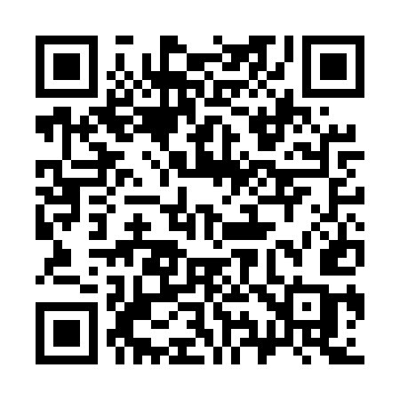 QR code for 393EUC