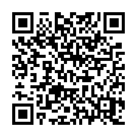 QR code for 393FST