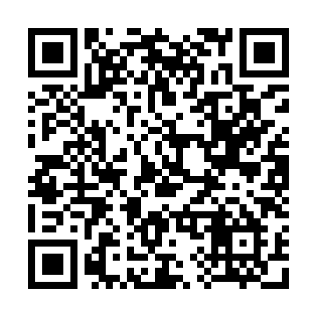 QR code for 393IXM