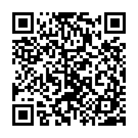 QR code for 393MDM