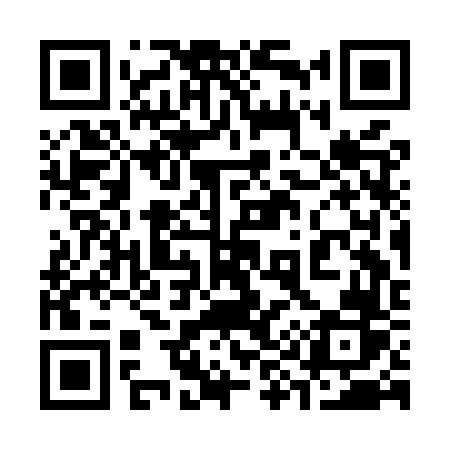 QR code for 393MVR