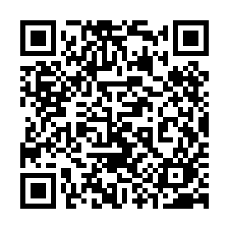 QR code for 393PAO