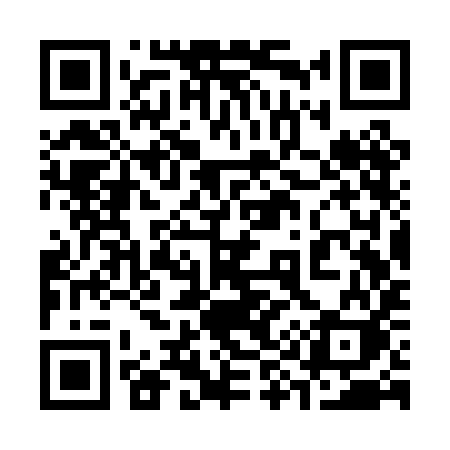QR code for 393PIK