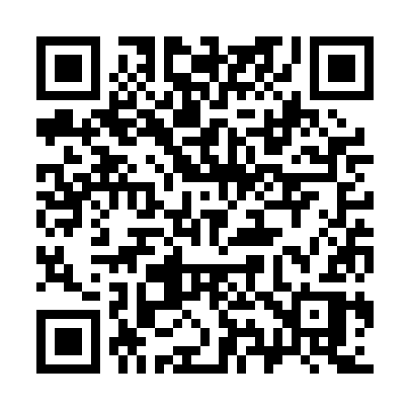 QR code for 393PKR