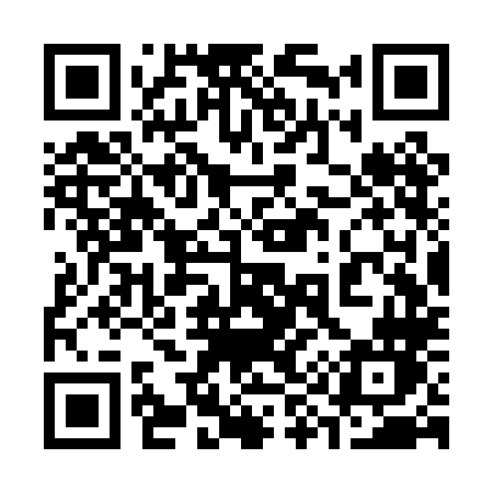QR code for 393PLN