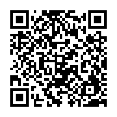 QR code for 393SRF