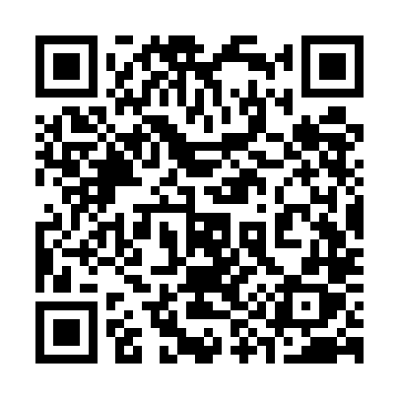 QR code for 393ULX