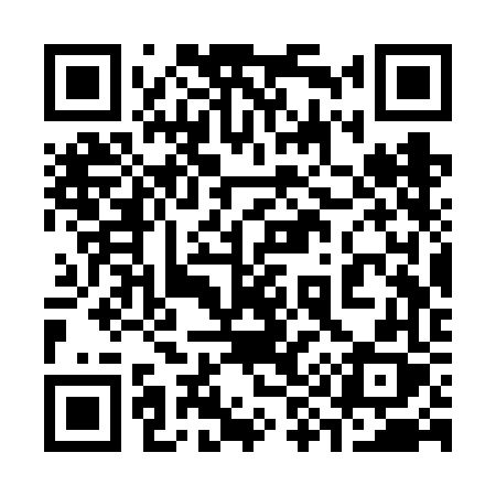 QR code for 393VFX