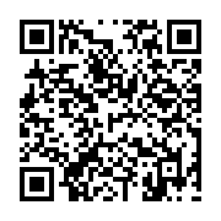 QR code for 393WJJ