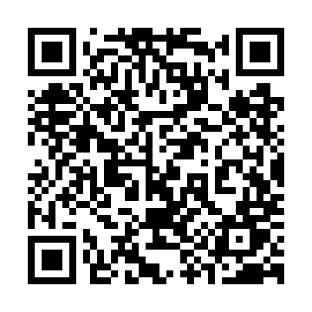 QR code for 393WMT