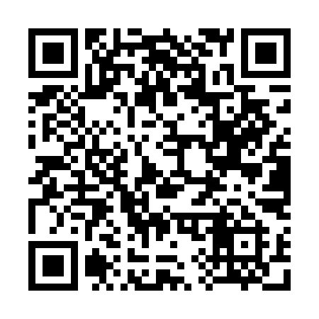 QR code for 394TII