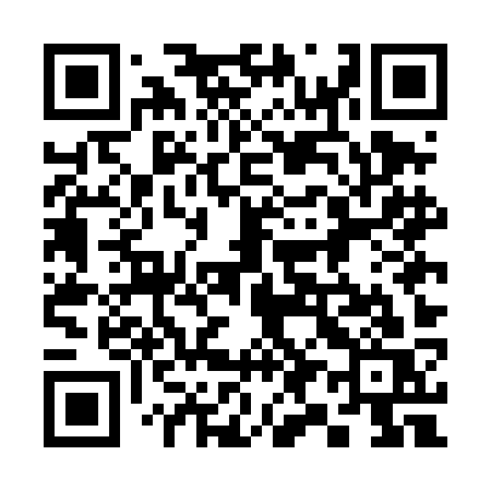 QR code for 395DKS