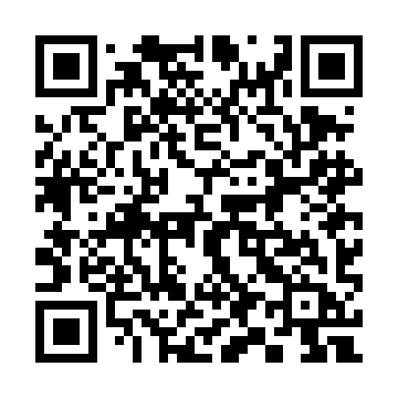 QR code for 397DIB