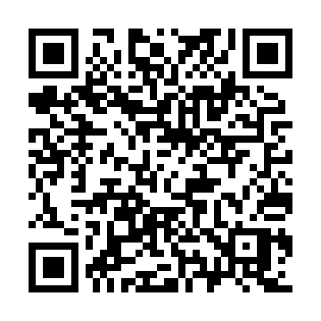 QR code for 397HQP