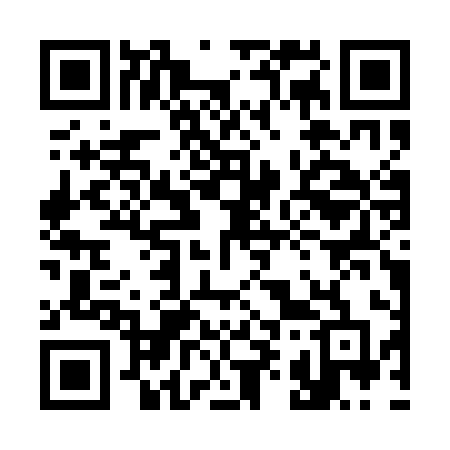 QR code for 397QID
