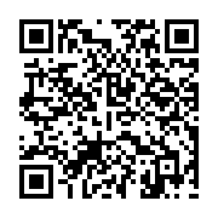 QR code for 397XXH