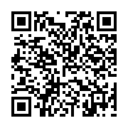 QR code for 398YKR