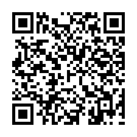 QR code for 399SSI