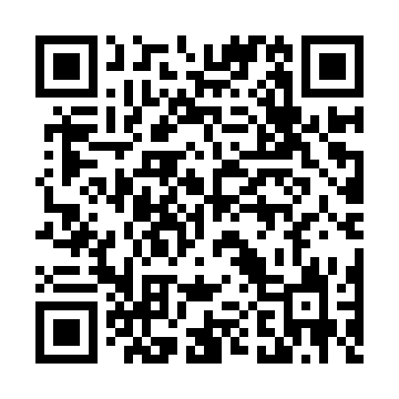 QR code for 401ISK