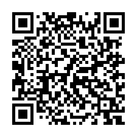 QR code for 407MIP