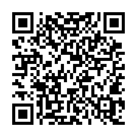QR code for 409SMG