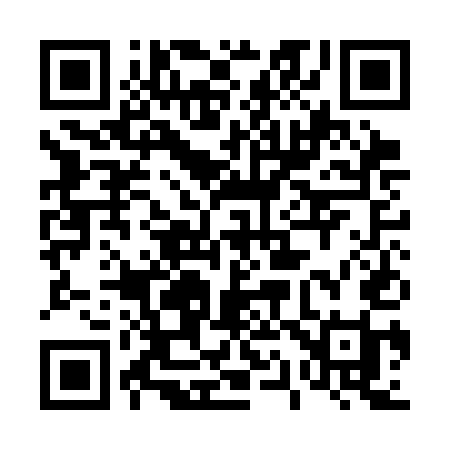 QR code for 411CEI
