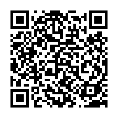 QR code for 411DQI
