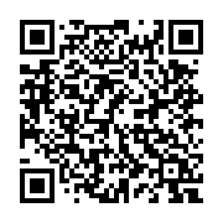 QR code for 411DVT