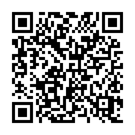QR code for 411IYT