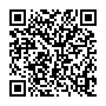 QR code for 411JKN
