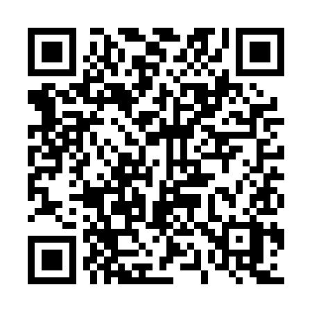QR code for 411PIX