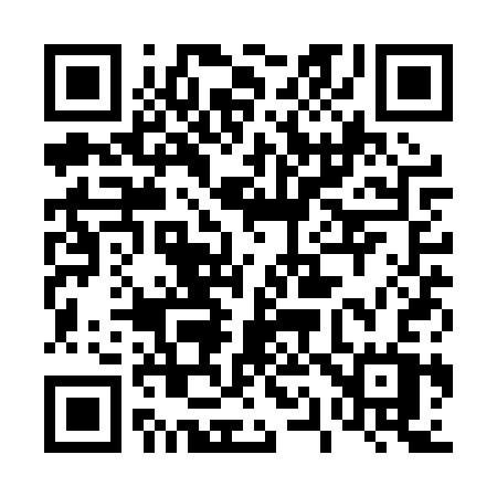 QR code for 411PSW