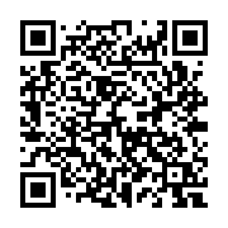 QR code for 411QQQ