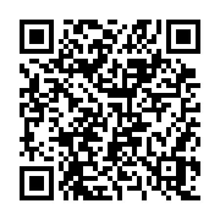 QR code for 411SGV