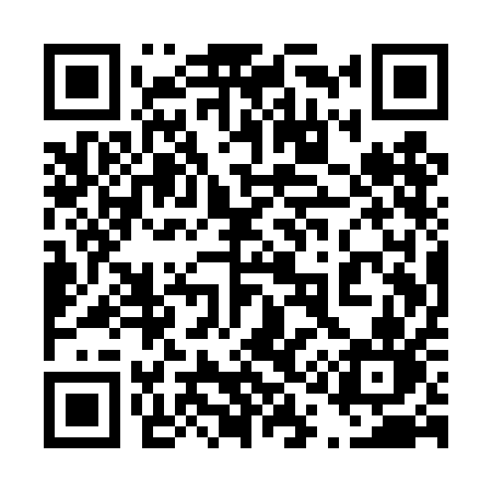 QR code for 411TAN