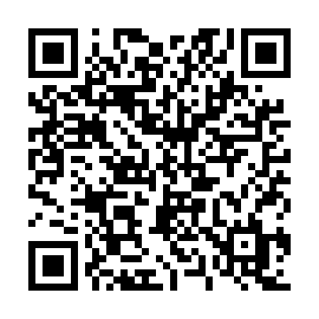 QR code for 411UBL