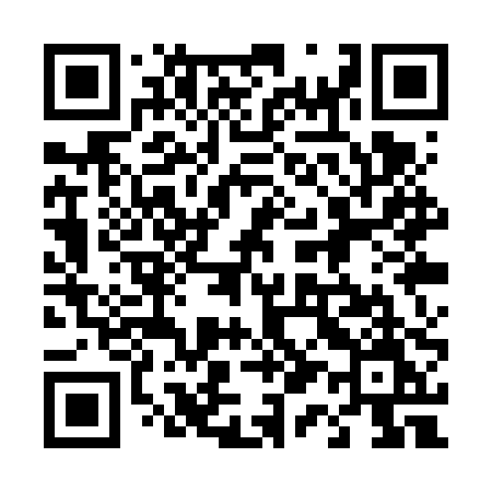 QR code for 411VPM