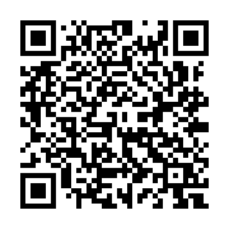 QR code for 411YER