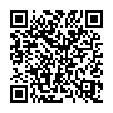 QR code for 411YQQ