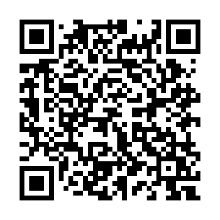 QR code for 419BLU