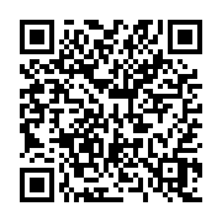 QR code for 419PAV
