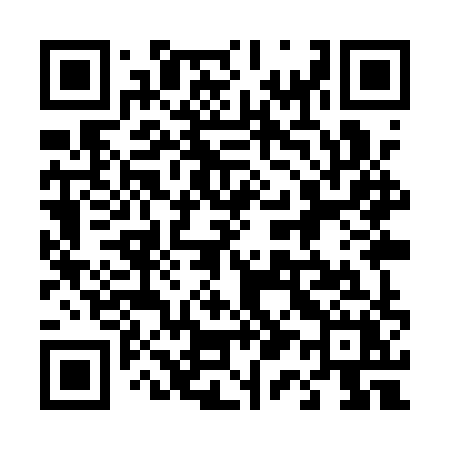 QR code for 419QXX