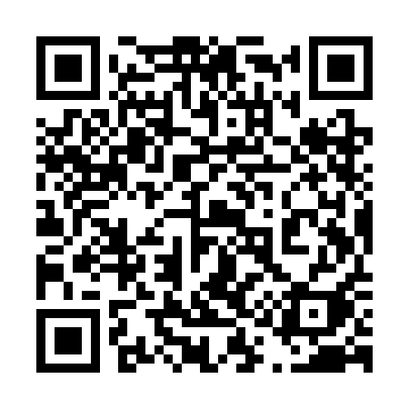 QR code for 419SAI