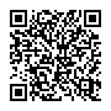 QR code for 419SVX