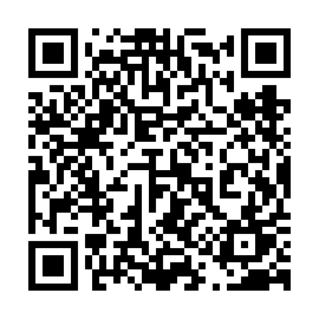 QR code for 419VAT
