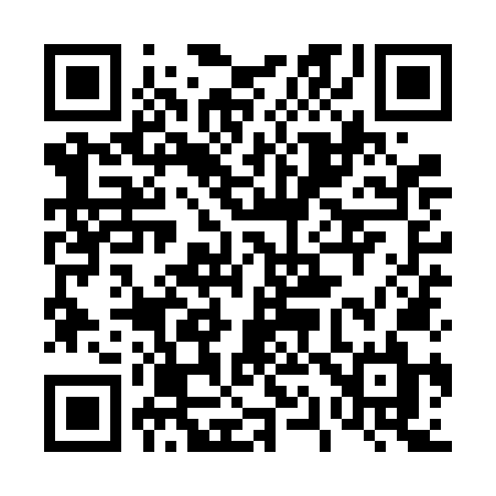 QR code for 419VNL